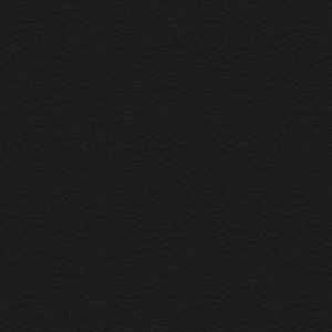 Meet your Posher, Shanley